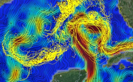 Ocean Currents: Types, Causes, and Their Impact on Climate & Marine Life