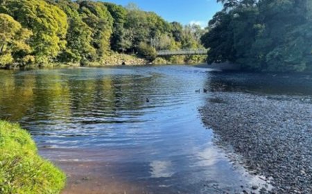 Stages in the Development of a River’s Long Profile: Youthful Stage & East African Examples