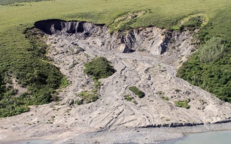 What Are Mass Movements in East Africa? Causes, Types, and Effects Explained"