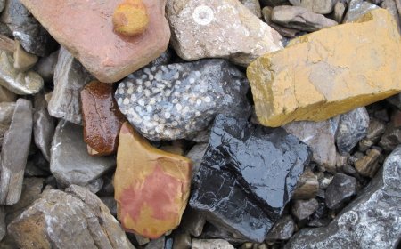 Rocks in East Africa: Types, Formation, and Economic Importance"