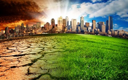 Climate Change in East Africa and the World: Causes, Effects, and Solutions