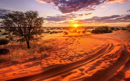 Discover the Hidden Wonders of the Semi-Arid Kalahari Desert