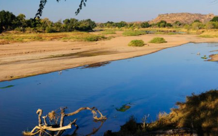 Discover the Limpopo River: A Vital Crossroads in Southern Africa.