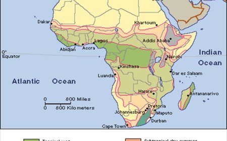 Africa's Equatorial Climate: Year-Round Warmth