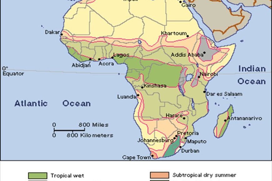 Africa's Equatorial Climate: Year-Round Warmth - Tower Academic