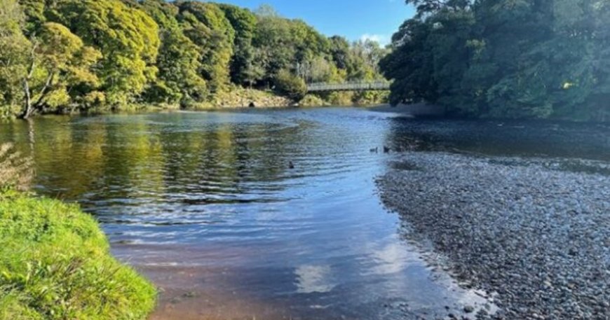 Stages in the Development of a River’s Long Profile: Youthful Stage & East African Examples