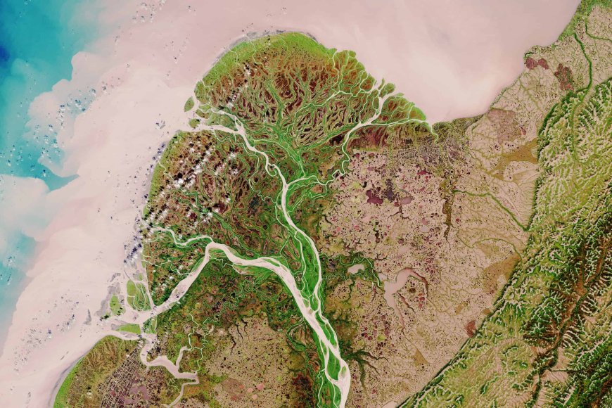 What is a River Delta? Formation, Types, and East African Examples