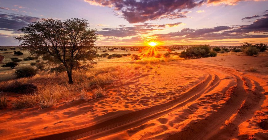 Discover the Hidden Wonders of the Semi-Arid Kalahari Desert