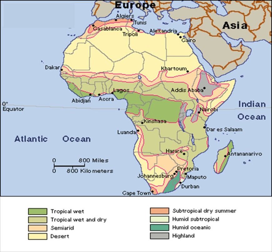 Africa's Equatorial Climate: Year-Round Warmth