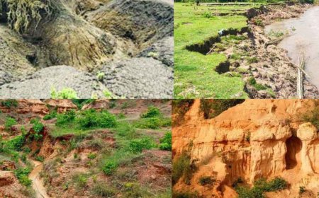 Soil Erosion: Causes, Types, Effects, and Prevention Methods