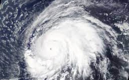 Why Do Hurricanes Form? The Science Behind Storms Unveiled