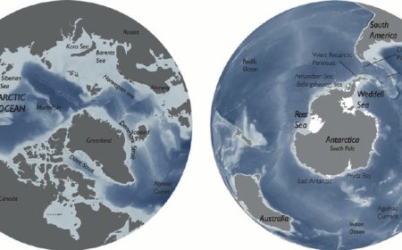 What Separates the Arctic from the Antarctic? Key Geographical Contrasts