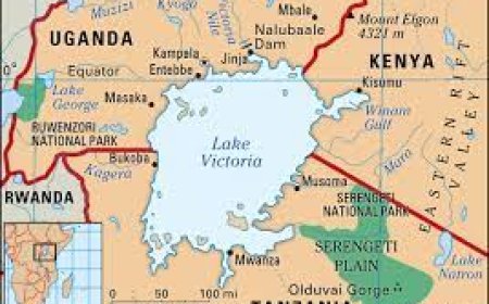 Exploring the Wonders of Lake Victoria in Uganda: A Natural Treasure