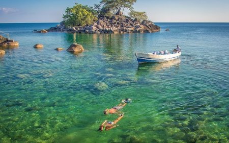 Lake Malawi: A Biodiversity Hotspot with Unique Wildlife & Conservation Efforts