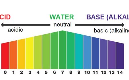Acids vs. Bases: Understanding the pH Scale.