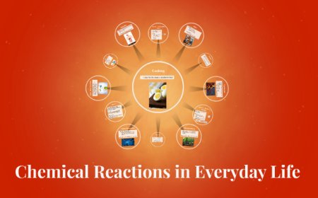Chemical Reactions in Everyday Life: What You Need to Know