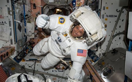 How Do Astronauts Survive in Space Life on the ISS