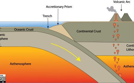 How Does Plate Tectonics Shape the Earths Surface