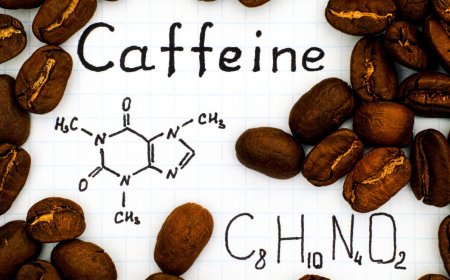 How Does Caffeine Affect Your Brain The Chemistry of Coffee