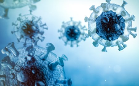 How Do Viruses Infect Cells The Science of Pathogens