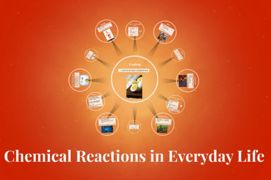 Chemical Reactions in Everyday Life: What You Need to Know - Tower Academic
