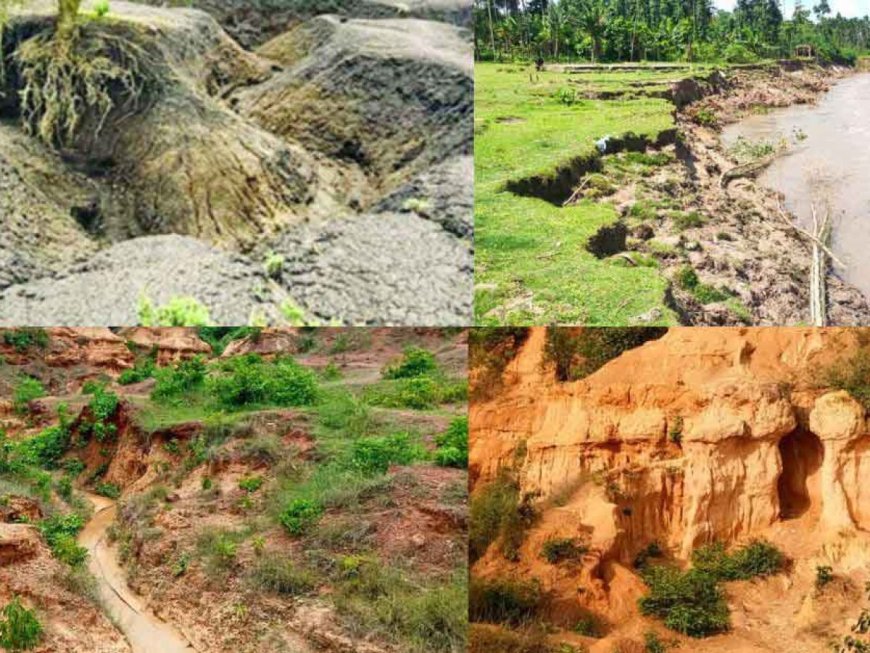 Soil Erosion: Causes, Types, Effects, and Prevention Methods
