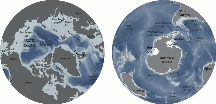 What Separates the Arctic from the Antarctic? Key Geographical Contrasts