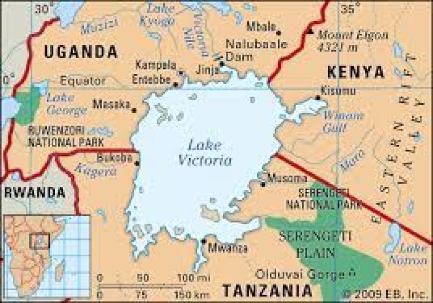 Exploring the Wonders of Lake Victoria in Uganda: A Natural Treasure