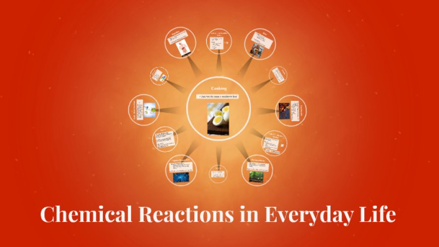 Chemical Reactions in Everyday Life: What You Need to Know