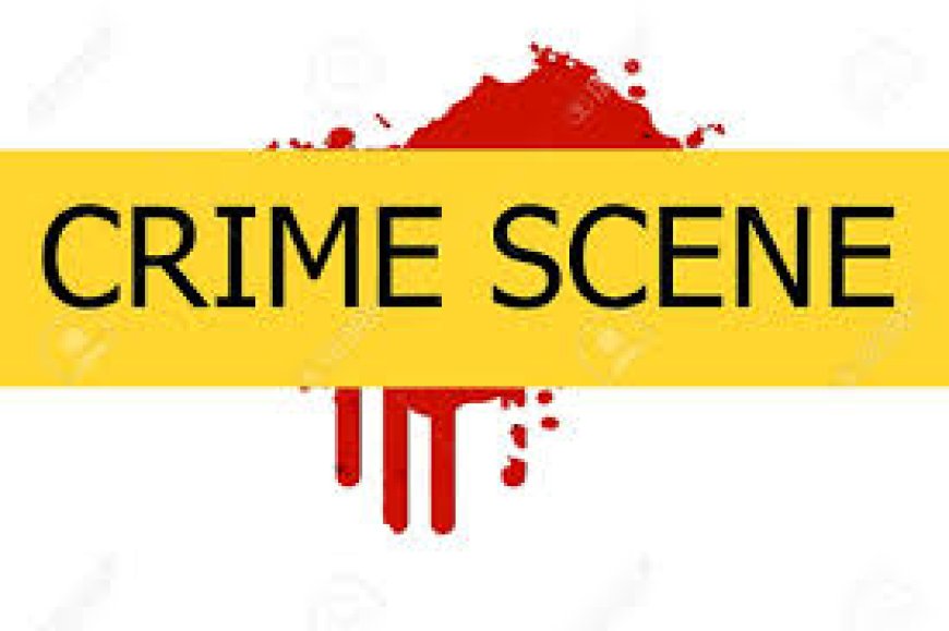 How Bloodstain Patterns Tell a Story Forensic Insights