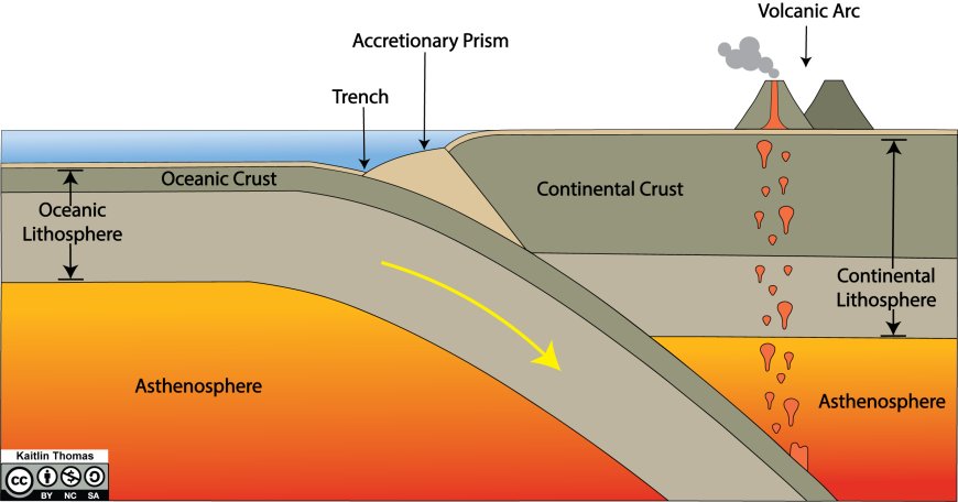 How Does Plate Tectonics Shape the Earths Surface
