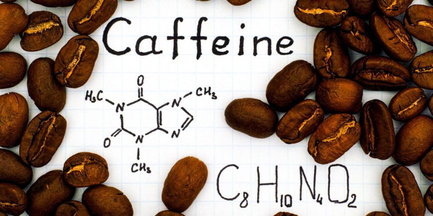 How Does Caffeine Affect Your Brain The Chemistry of Coffee