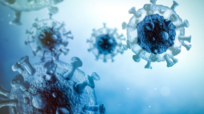 How Do Viruses Infect Cells The Science of Pathogens