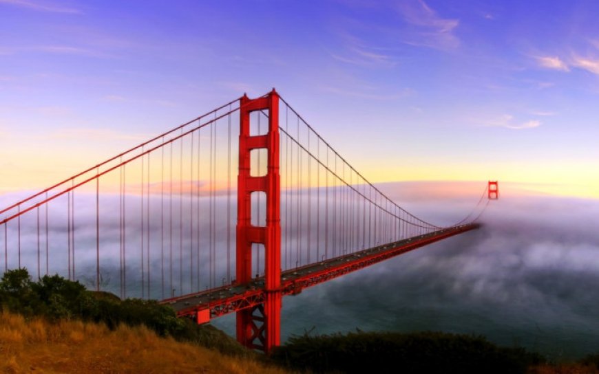 How Do Suspension Bridges Work The Science of Strong Structures
