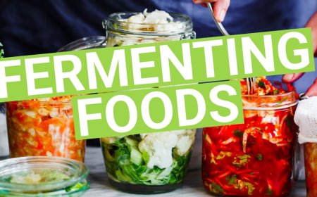 The Science Behind Fermented Foods, Why They  are Good for You.