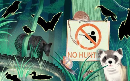 Top 10 Endangered Animals and the Science of Conservation