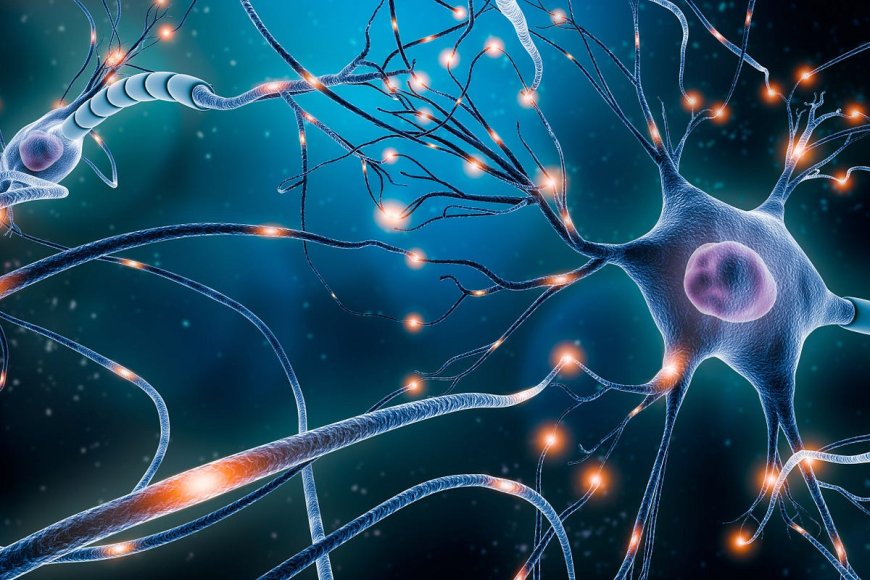 The Science of Memory Why Do We Forget Things - Tower Academic