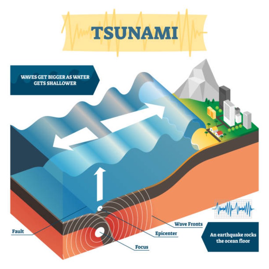 How Do Tsunamis Form A Detailed Explanation