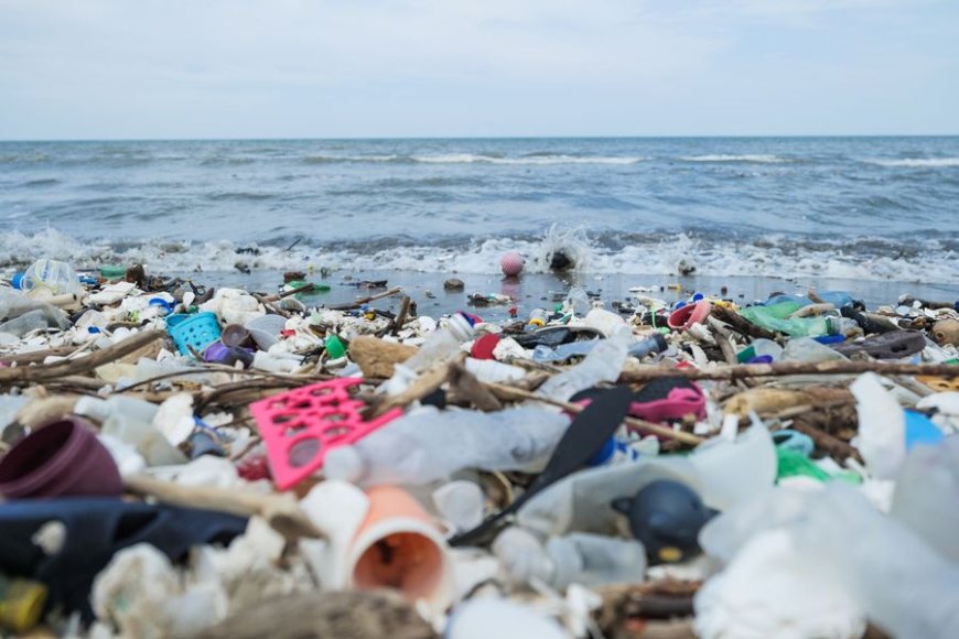 How Marine Pollution Affects Ocean Life: A Scientific Study