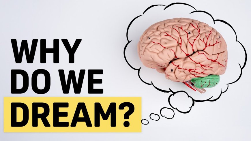 The Science of Sleep: Why Do We Dream?