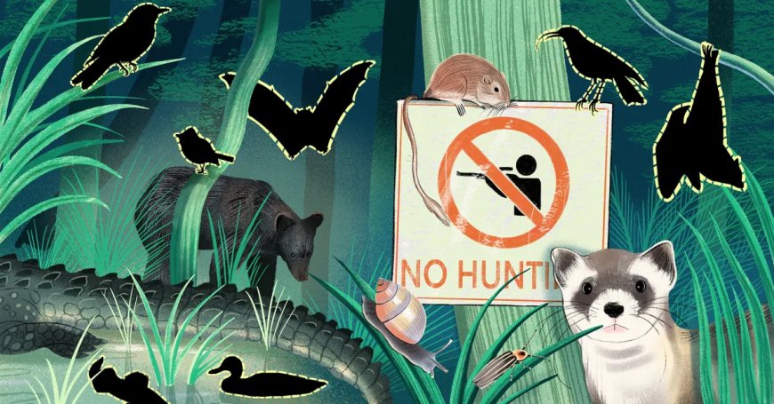 Top 10 Endangered Animals and the Science of Conservation