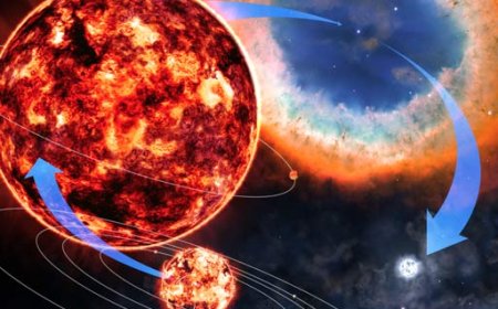 What Is a Supernova The Life and Death of Stars