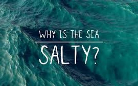 Why Is the Ocean Salty Explained for Curious Minds