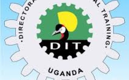 What is the Directorate of Industrial Training as- sessment in the new curriculum?