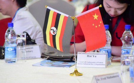 What Chinas Focus on STEM Means for Ugandas Future