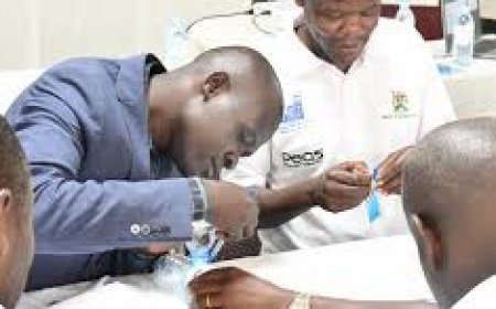 Teacher Perspectives on the Curriculum Shift