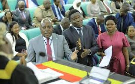 Government Strategies to Tackle Challenges in Uganda’s New Curriculum Implementation.