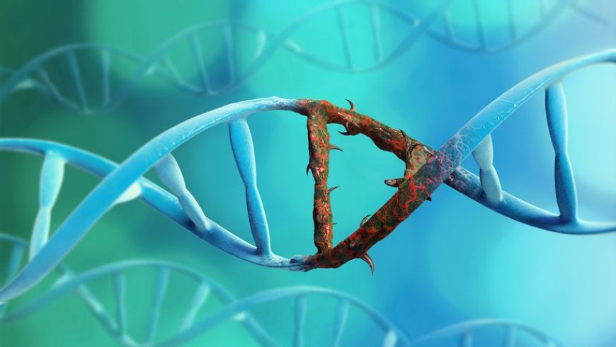 What Are Mutations How They Shape Evolution and Disease