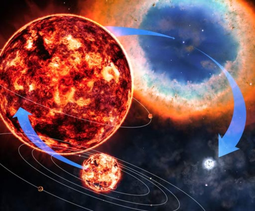 What Is a Supernova The Life and Death of Stars