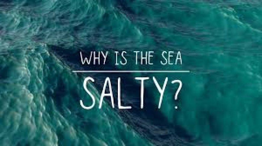 Why Is the Ocean Salty Explained for Curious Minds